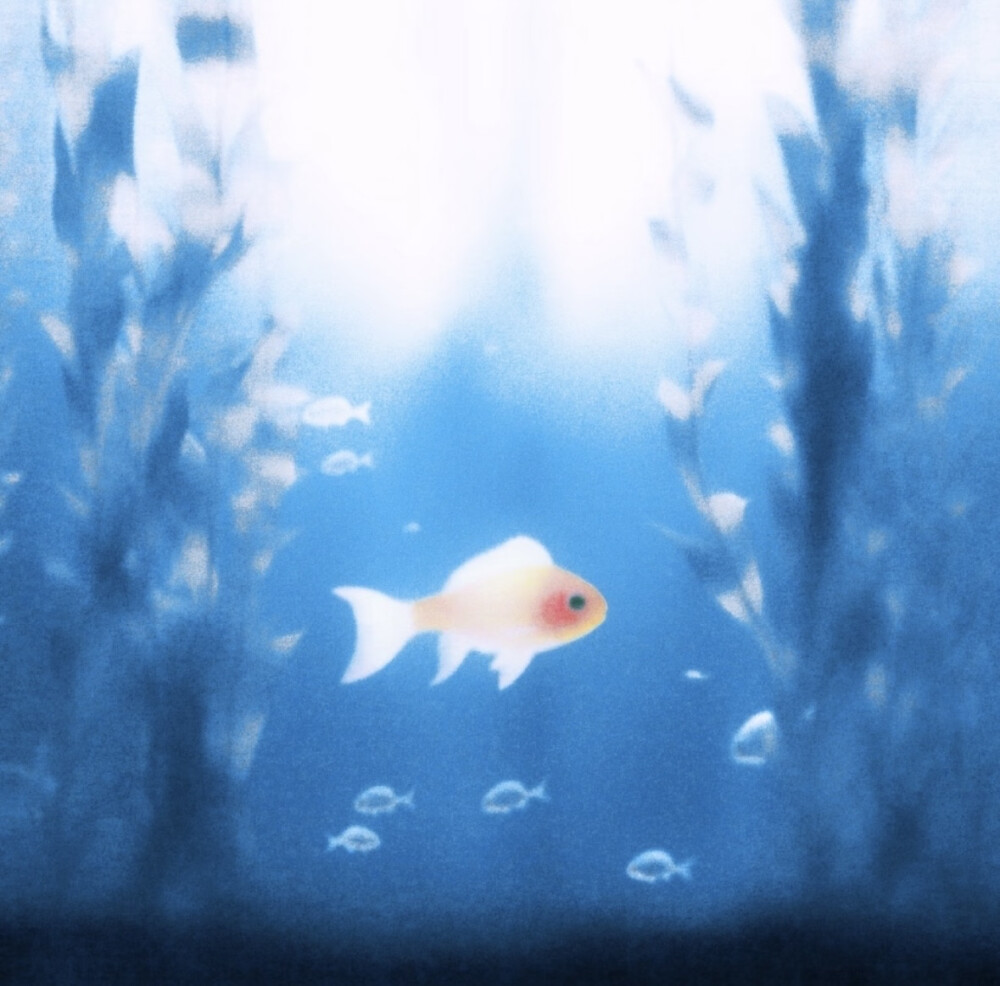 壁纸#鱼