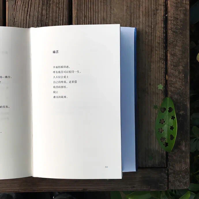 也许说我爱你这感觉一定很假