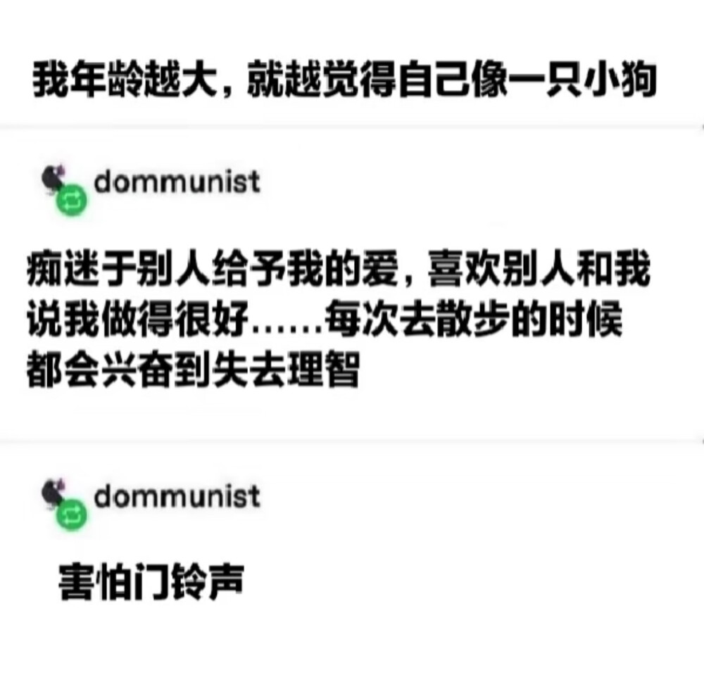 关于小狗的事也关于你也关于我