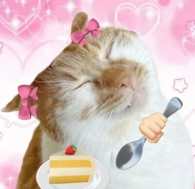 沙雕猫咪表情包