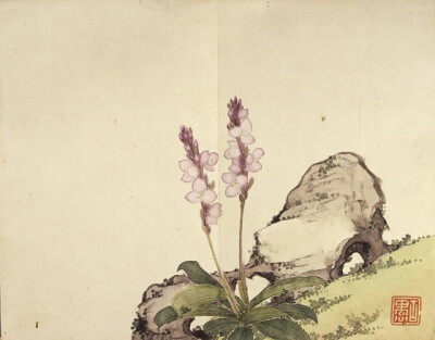 居廉《虾脊兰》 1856—1864年 广东省物馆