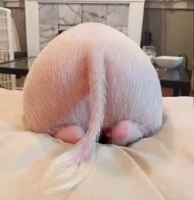 准备好了