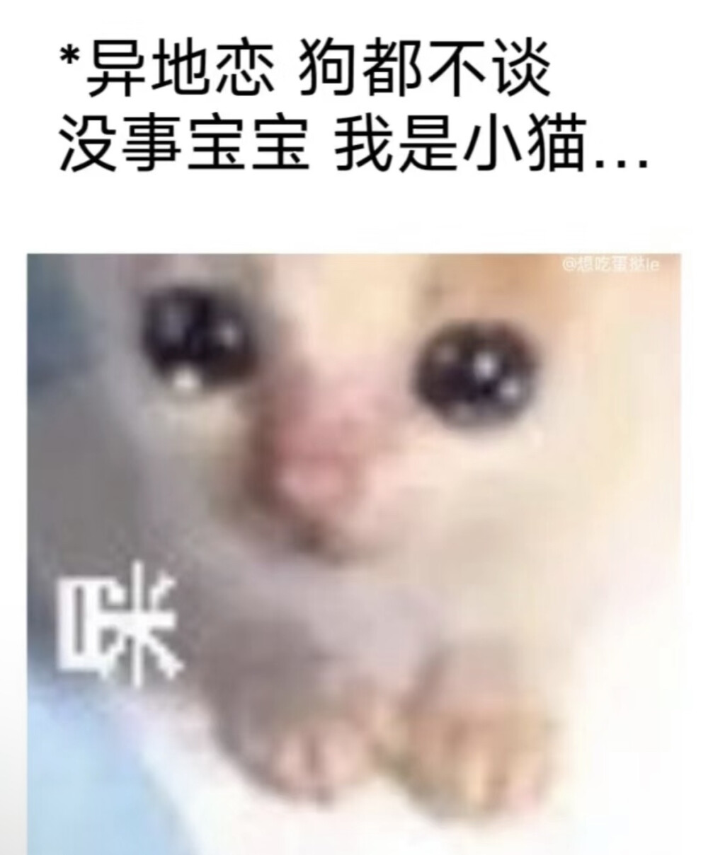 言语