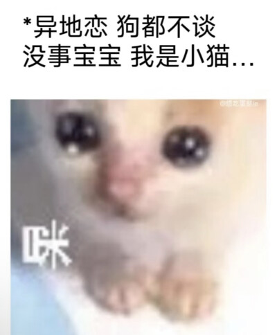 言语