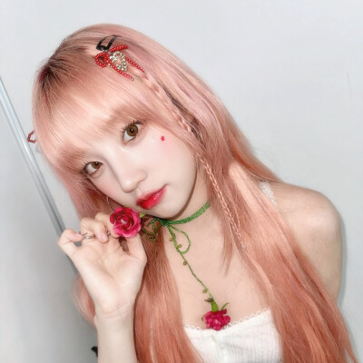 小狗日记