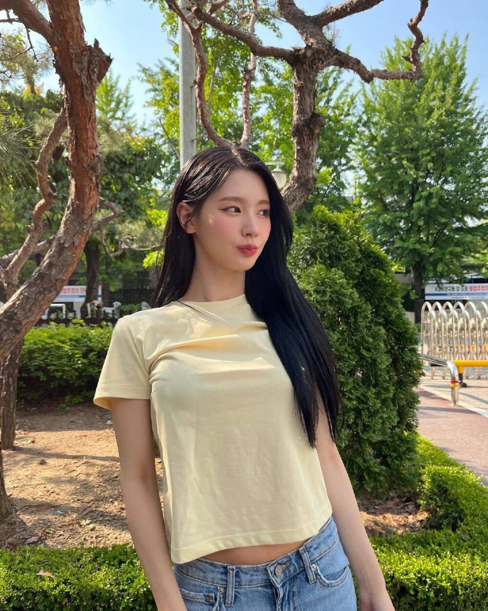 赵美延