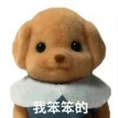 Just do what i suppose to do.