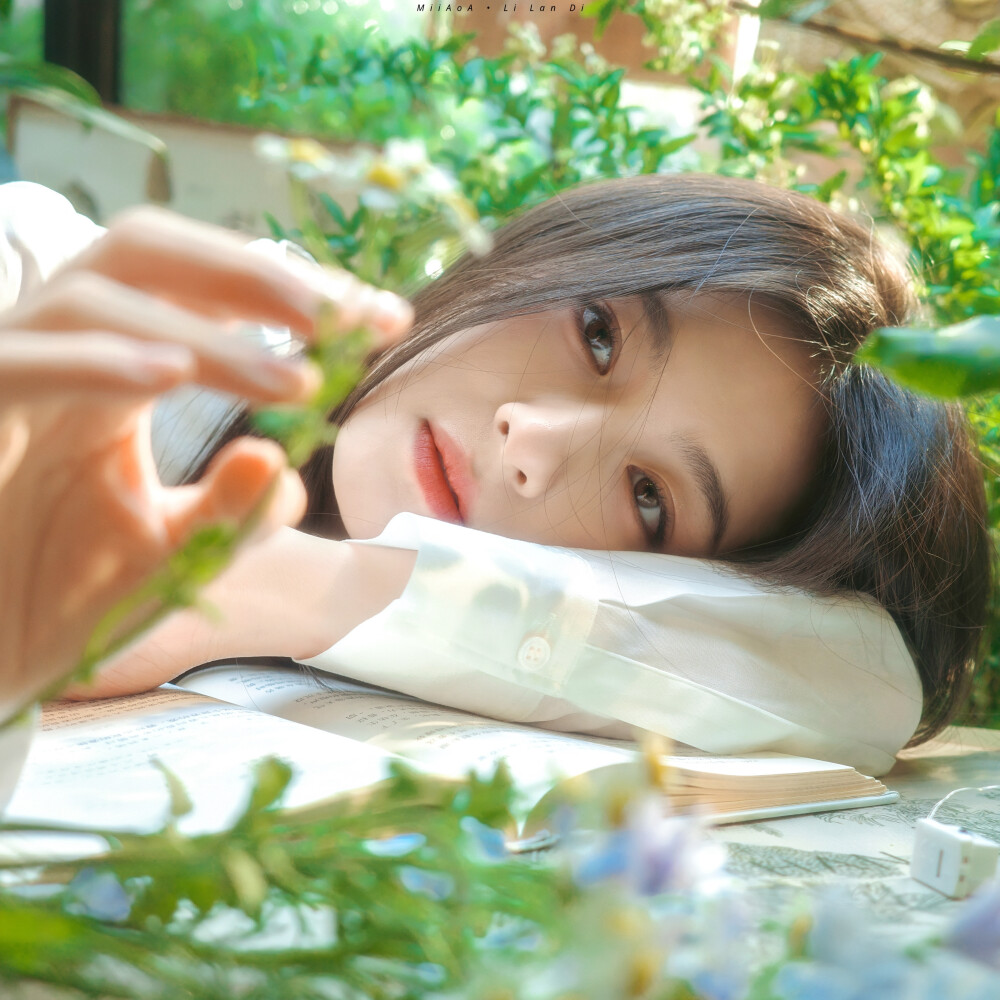 李兰迪
夏日明媚的生命力❤️