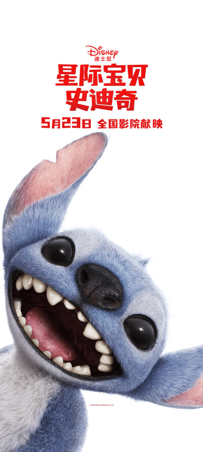 史迪奇