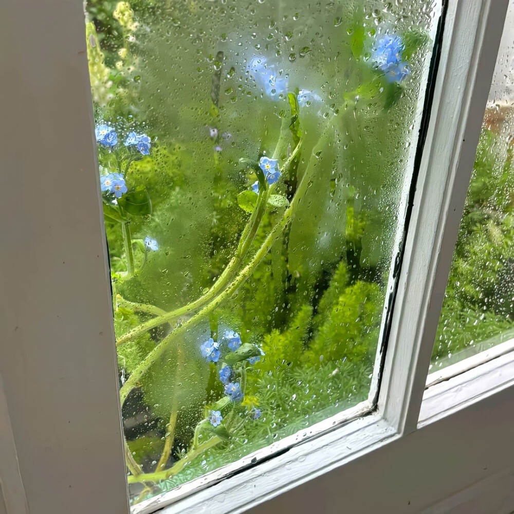 ins潮图朋友圈背景图/高质量/神仙背景/图源网络侵删