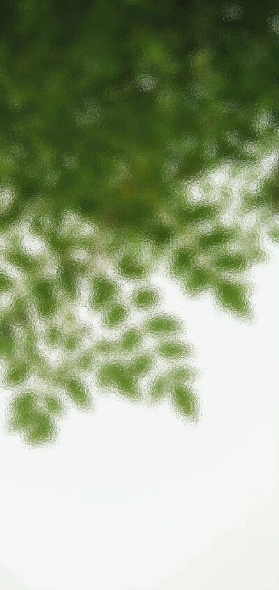 壁纸 手机壁纸 竖屏壁纸 绿色 清新 图片来源于微信公众号白粥与调色盘