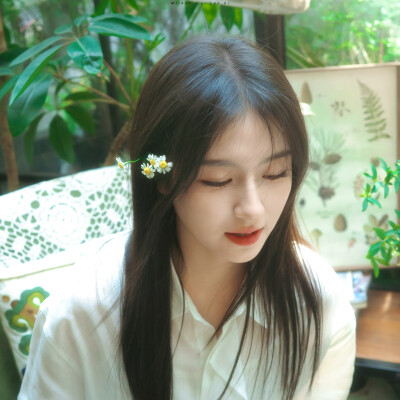 李兰迪
夏日明媚的生命力❤️