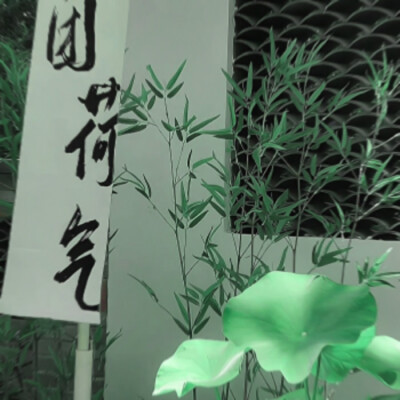  *春和花野：사랑、romantic（見花の则喜）