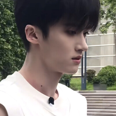 小桉
