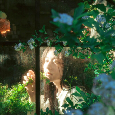 李兰迪
夏日明媚的生命力❤️