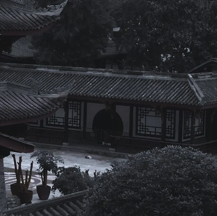  You always ask me if I can