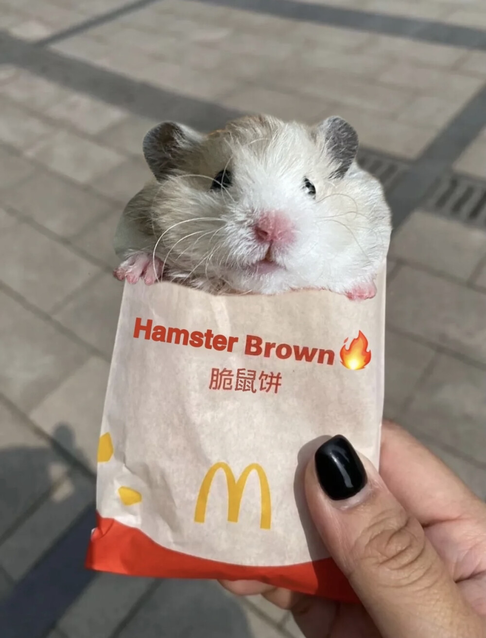 头像