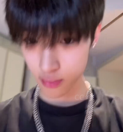 狗