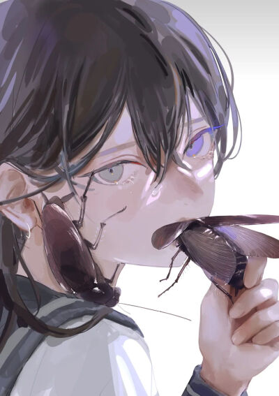 插画