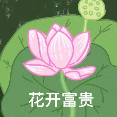 荷花系列头像