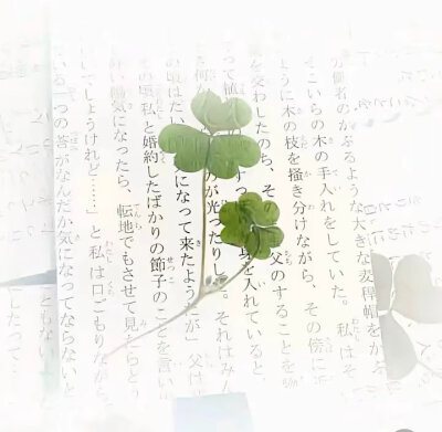古早，日糸