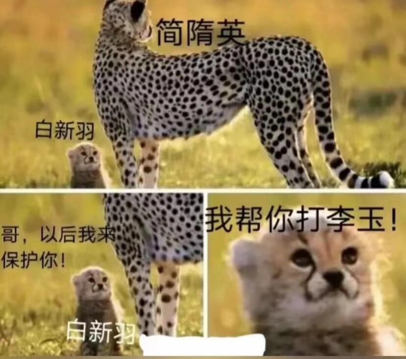 准不就是我们出类拔萃简哥