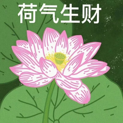 荷花系列头像