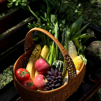 绿色 ins风 背景图 