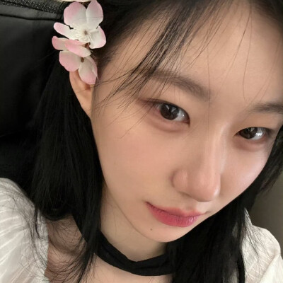 李彩领