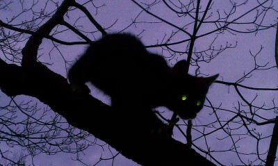 SIXXONE