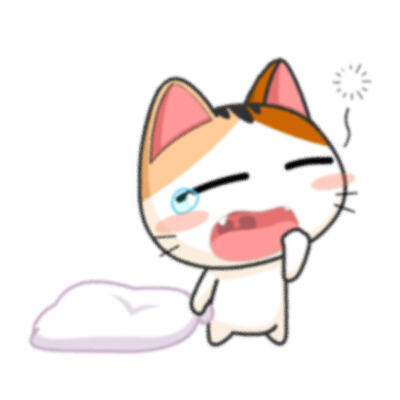 吉吉猫