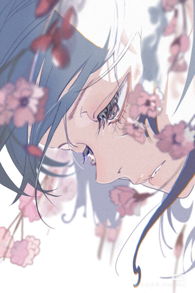 表情