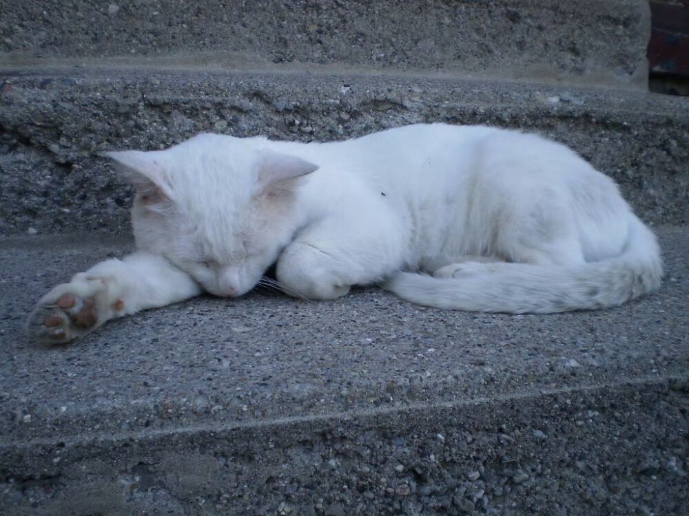 SIXXONE