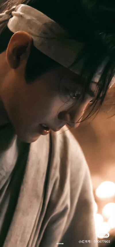 藏海