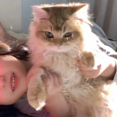 超好看的情头啦