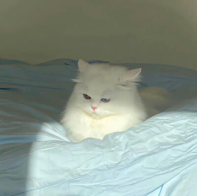 朋友圈