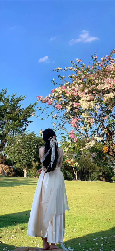 壁纸