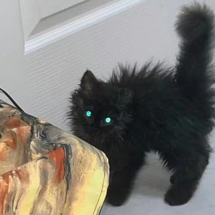 SIXXONE