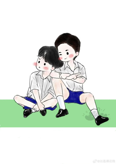 柴卡蒙:诺宝