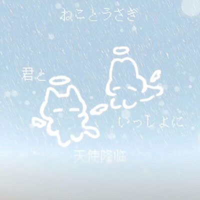 收单收专