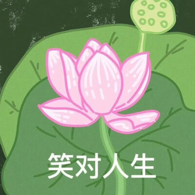 荷花系列头像