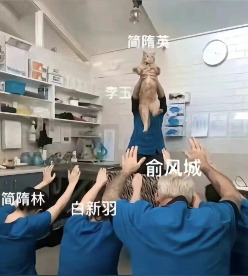 准不就是我们出类拔萃简哥