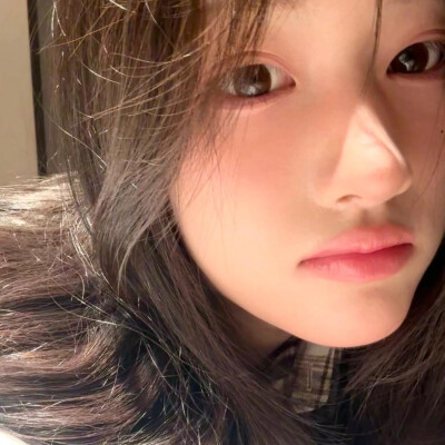 灰灰