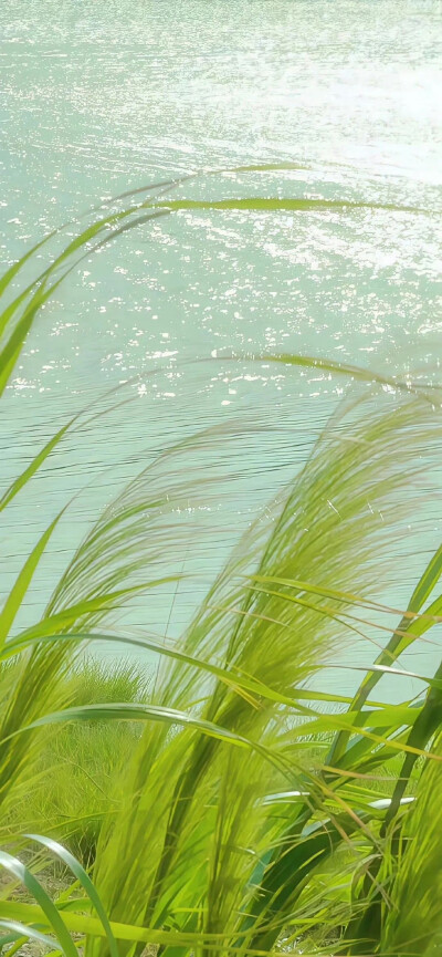 壁纸