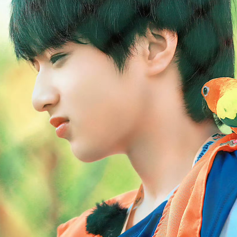 我为什么总在非常脆弱的时候怀念你