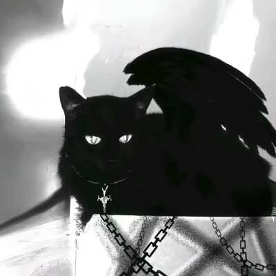 SIXXONE