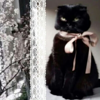 金旼炡 * 缘分竟然默许你离去