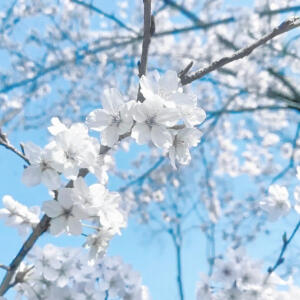 蓝色背景图 氛围感ins风