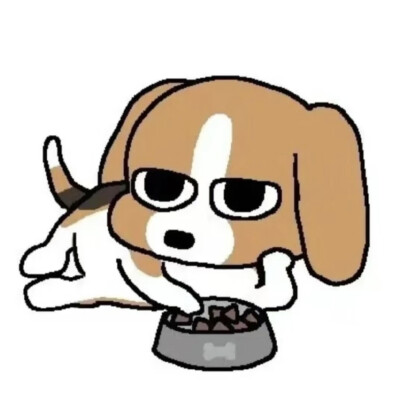 比格多栋可爱头像/表情包 侵权可删