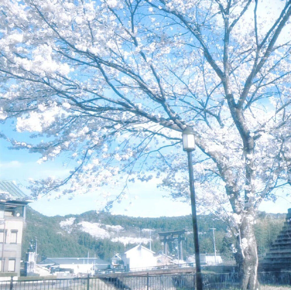 蓝色背景图 氛围感ins风